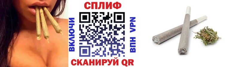 Каннабис план  купить наркотик  Суджа 